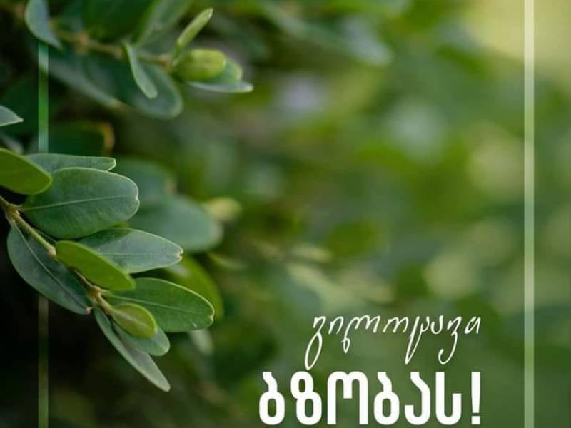 გილოცავთ ბზობას!